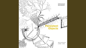 Persistent Object