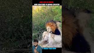 Only Life time #viralvideo #shorts
