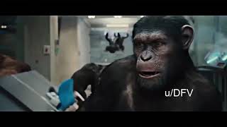 APES TOGETHER STRONG | GAME STOP WSB MEME screenshot 1