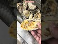 Oyster shell cleaning machine #machine #清洗 #oysters #oyster #automatic
