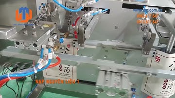 Máy đóng gói tự động túi rời, 2 nguyên liệu vào 1 túi, đóng gói măng tươi, model TPM-AH03-B-4