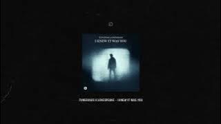 Tungevaag x Lovespeake - I Knew It Was You (Extended Mix)
