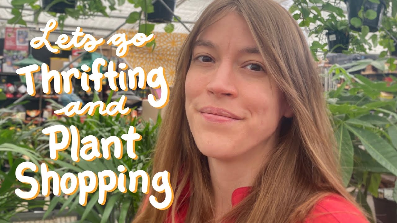 Thrift Plant Shop With Me Two Thrift Stores And A Quick Plant thrift-plant-shop-with-me-two-thrift-stores-and-a-quick-plant
