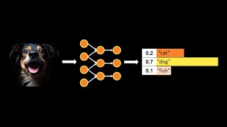 Beyond Categorical Label Representation for Image Classification