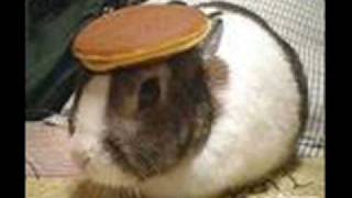 Funny stuff!.wmv