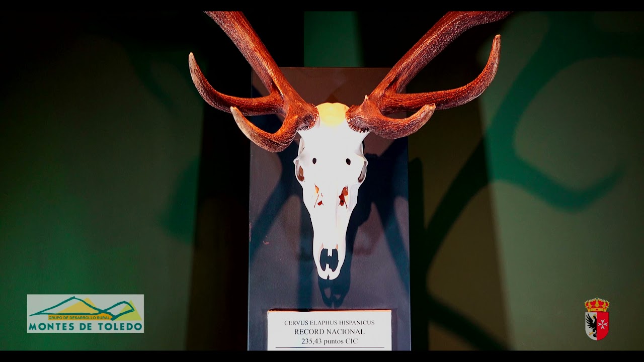 Montes de Toledo Los Yébenes