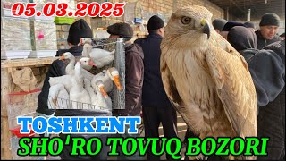 : TOSHKENT SHORO PARRANDA BOZORI