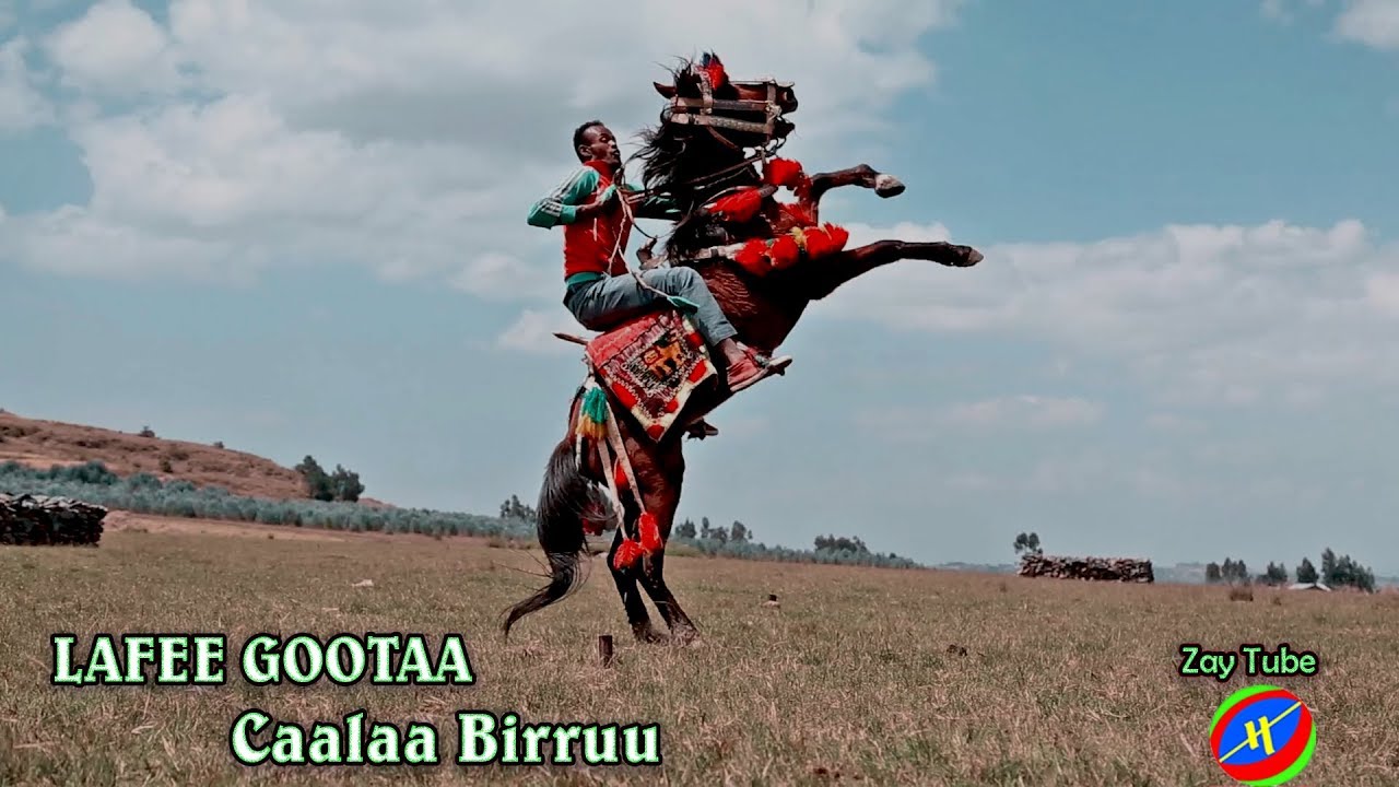 New Oromoo music 2019 Caalaa Birruu (Lafee Gootaa)  Ethiopian Music and Entertainment