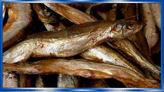 Мойва вяленая, специального посола, по Китайскому рецепту, рецепты из рыбы от fisherman dv 27rus