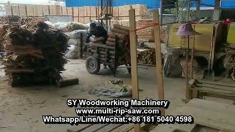 Hige Efficient Round Log Multi Blade Saw for Making Blockboard and Barecore, Sawmill for Albasia