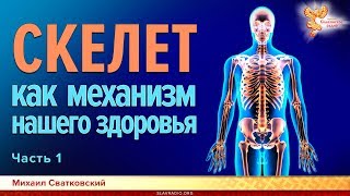 Скелет, как механизм нашего здоровья. Михаил Сватковский. Часть 1