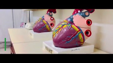 Glimpse of Biomedical Engineering Labs