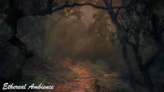 Spooky Forest Ambience, Hunted Forest Sleep Sounds, Spooky ASMR Sounds for relaxation, Stress Relief