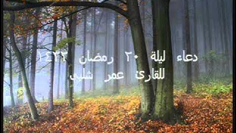 دعاء ليلة 20 رمضان 1432 للقارئ عمر شلبى.wmv