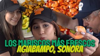 MARISCOS DE SONORA ¿Los mejores de México? | Agiabampo, son.