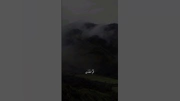القارئ شريف مصطفى | سورة طه
