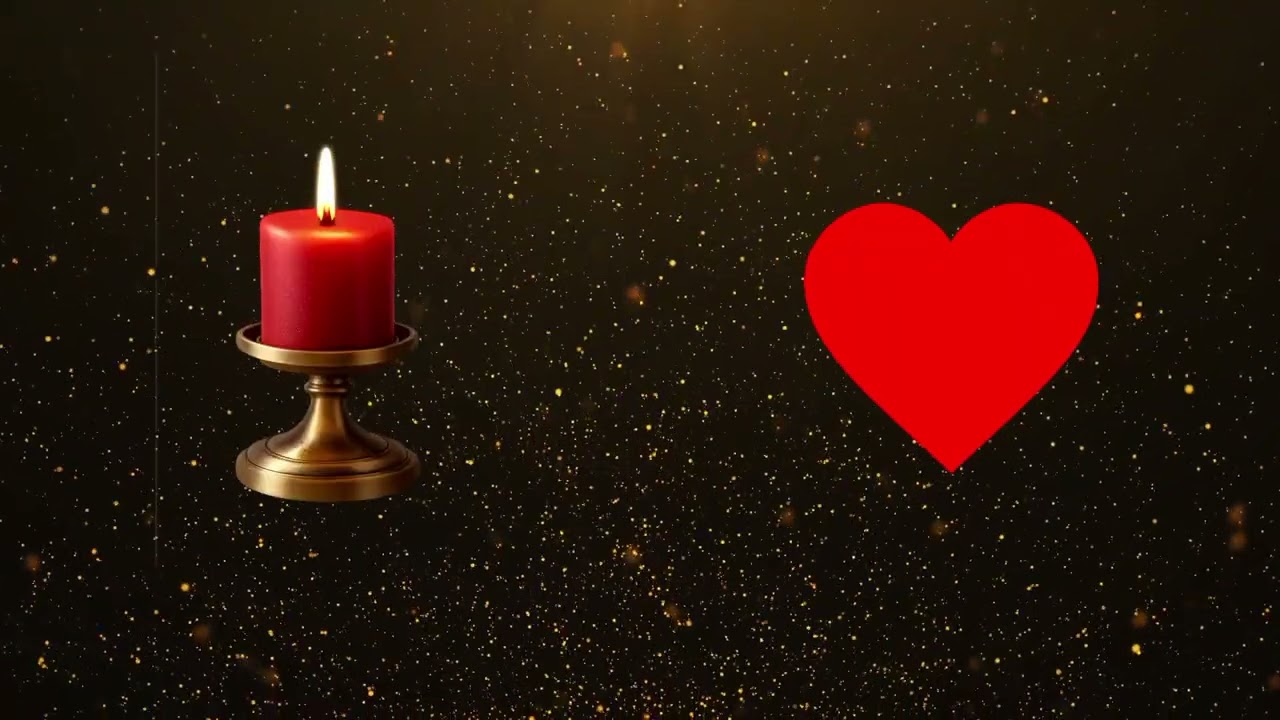 ❤️❤️❤️❤️❤️❤️❤️❤️❤️❤️❤️❤️