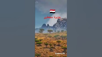 جزيرة سقطرى #اليمن #اكسبلور #الجزائر #سورة_الضحى