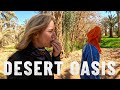 Desert oasis explained this is how they do it s7  e7