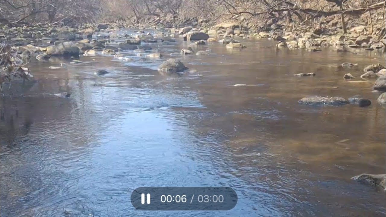 The secret of the River