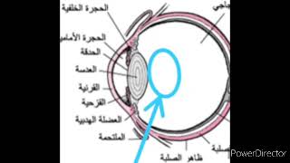 بإذن الله: إخراج وتدمير جهاز إستقطابي مسحر إبليسي من داخل العين خلف العدسة... خيرالدين عبد الله