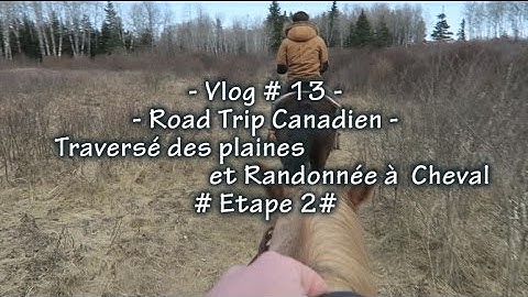 On devient cowboy dans un RANCH  au MANITOBA !