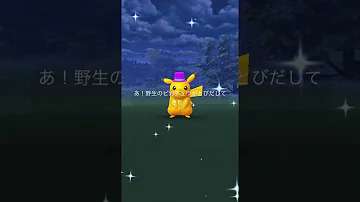 キッズステーションポケットモンスター年末年始大王22