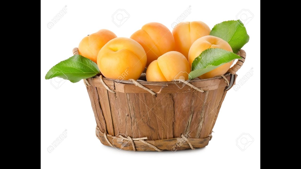 Juicing Apricots & It's Benefits YouTube