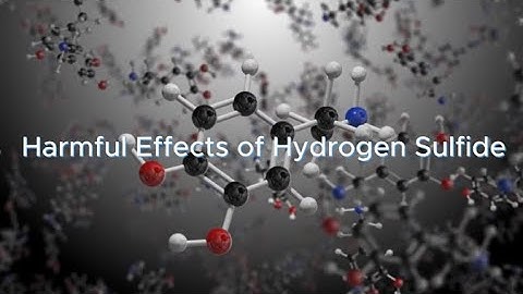 Harmful Effects of Hydrogen Sulfide