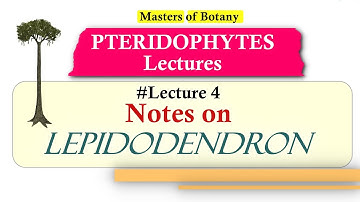 Lecture 4 | Lepidodendron (Fossil) Life Cycle | Pteridophyta Lecture Notes