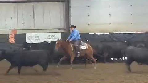 Derek Partridge of Diamond D Performance Horses on...