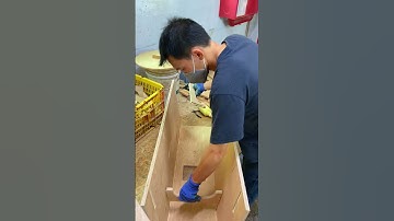 Part 1 | Daul 12" Linearray Speaker#proaudio #speaker #audio #raidongaudio #linearrayspeaker