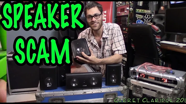 SPEAKER BLOWOUTS! - BURGMANN Scam