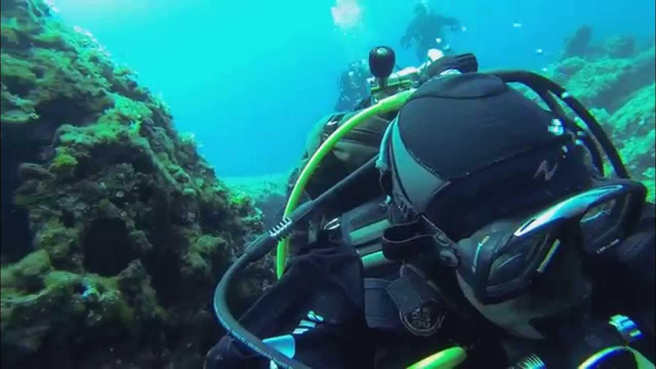 Адриатическое море дайвинг