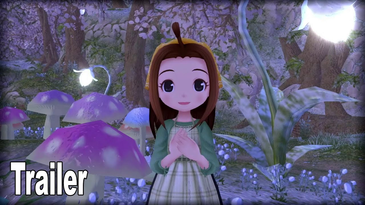 story of seasons a wonderful life amazon