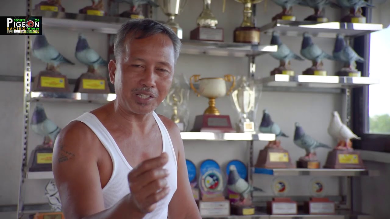 Part 2 | Graspiline Father & Son | Pooling King