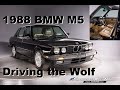 Driving The Wolf: 1988 BMW E28 M5 – New Arrival