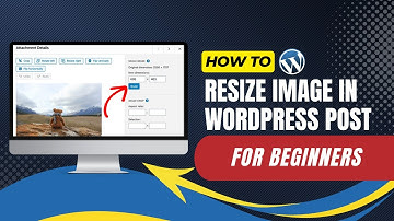 How To Resize Image In WordPress Post For Beginners