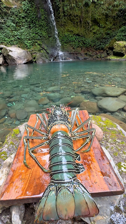 Download lagu Lobster on the rock n dragon bread on the stick 💦🪵🏕️🌱🇮🇩 #lobster #campfire #burgerfood