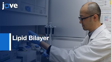 Lipid Bilayer Experiments with Contact Bubble Bilayers  | Protocol Preview