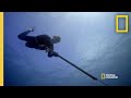 Gordon Goes Spearfishing for Snapper | Gordon Ramsay: Uncharted