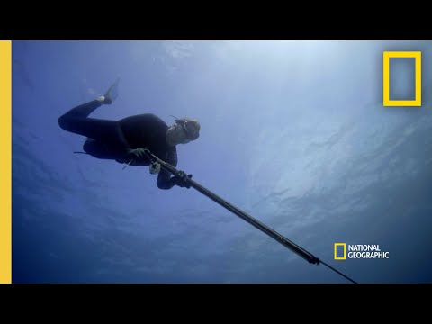 Gordon Goes Spearfishing for Snapper | Gordon Ramsay: Uncharted