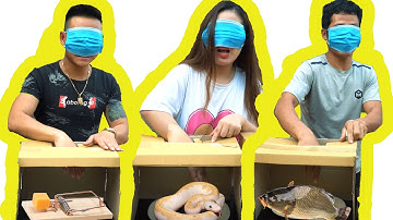 PHD -  Bịt Mắt Tìm Đồ Trong Hộp Bí Ẩn | What