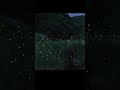 Fireflies | How long has it been since you've seen a firefly?
