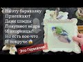 ❤️Германия ПоХоД Барахолка! Антиквариат Винтаж Фарфор Германия ! Про поиск клада!