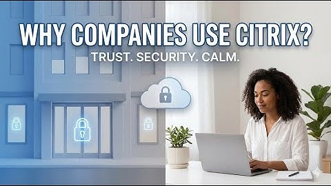 Why Companies Use Citrix? (Real Office Example for Beginners)