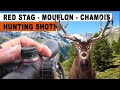 Red stag &amp; European Mouflon hunting in France // Chasse au Cerf &amp; Mouflon en France // 2023