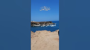 تلاوة مباركة من سورة النمل بصوت جميل غير معروف لدي