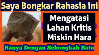 Pertanian / *Cara Membuat Pupuk Dari Batu ( Asam Batu )