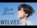 Park Jimin|Wolves {FMV}